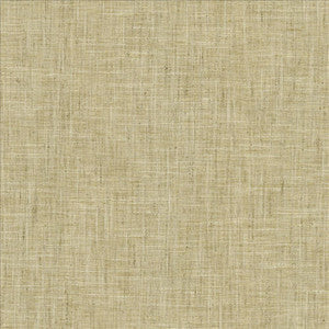 Kasmir Fabric Photo Finish Flannel
