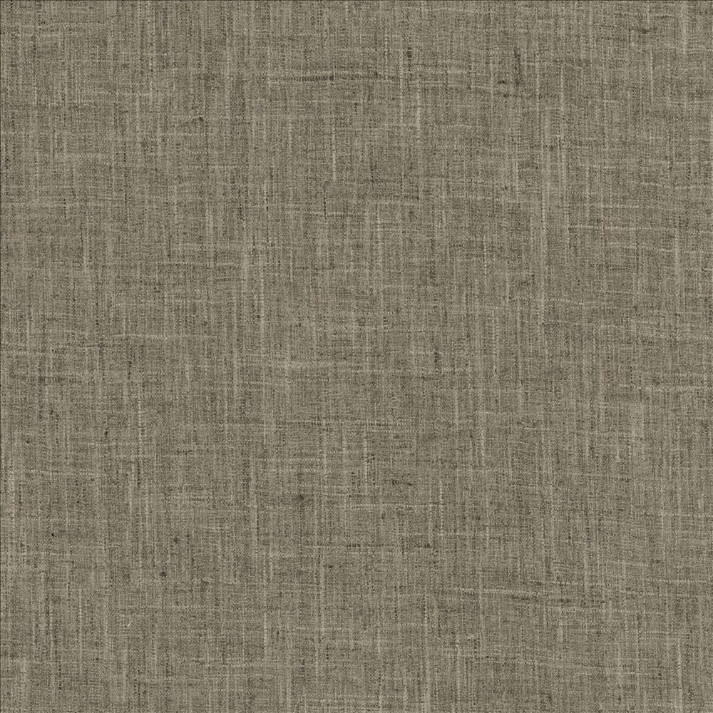 Photo Finish Shale by Kasmir Designer Fabric 5162 100% Polyester
 INDIA 12,000 Wyzenbeek Double Rubs </p><p>Repeat: Horizontal: N/A and Vertical: N/A 54 - Swanky Fabrics -