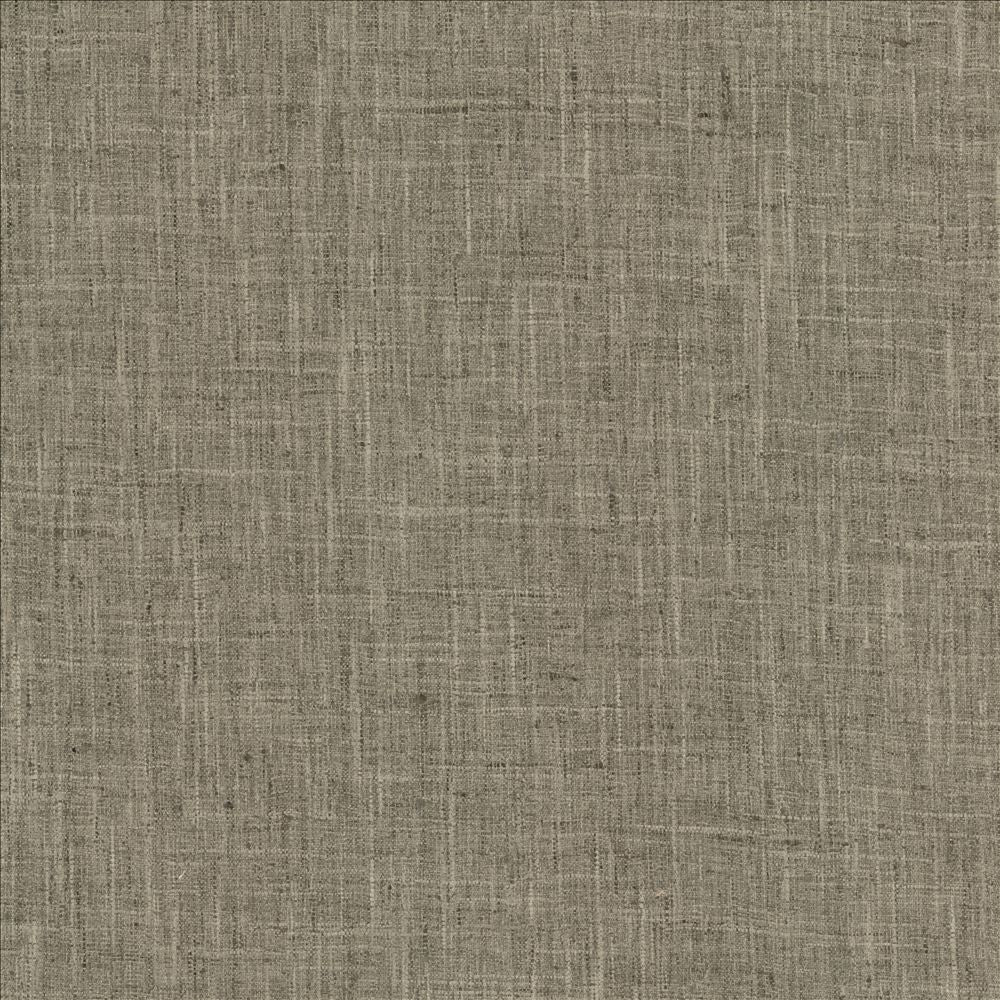 Photo Finish Shale by Kasmir Designer Fabric 5162 100% Polyester
 INDIA </p><p>Repeat: Horizontal: N/A and Vertical: N/A 54 - Swanky Fabrics -