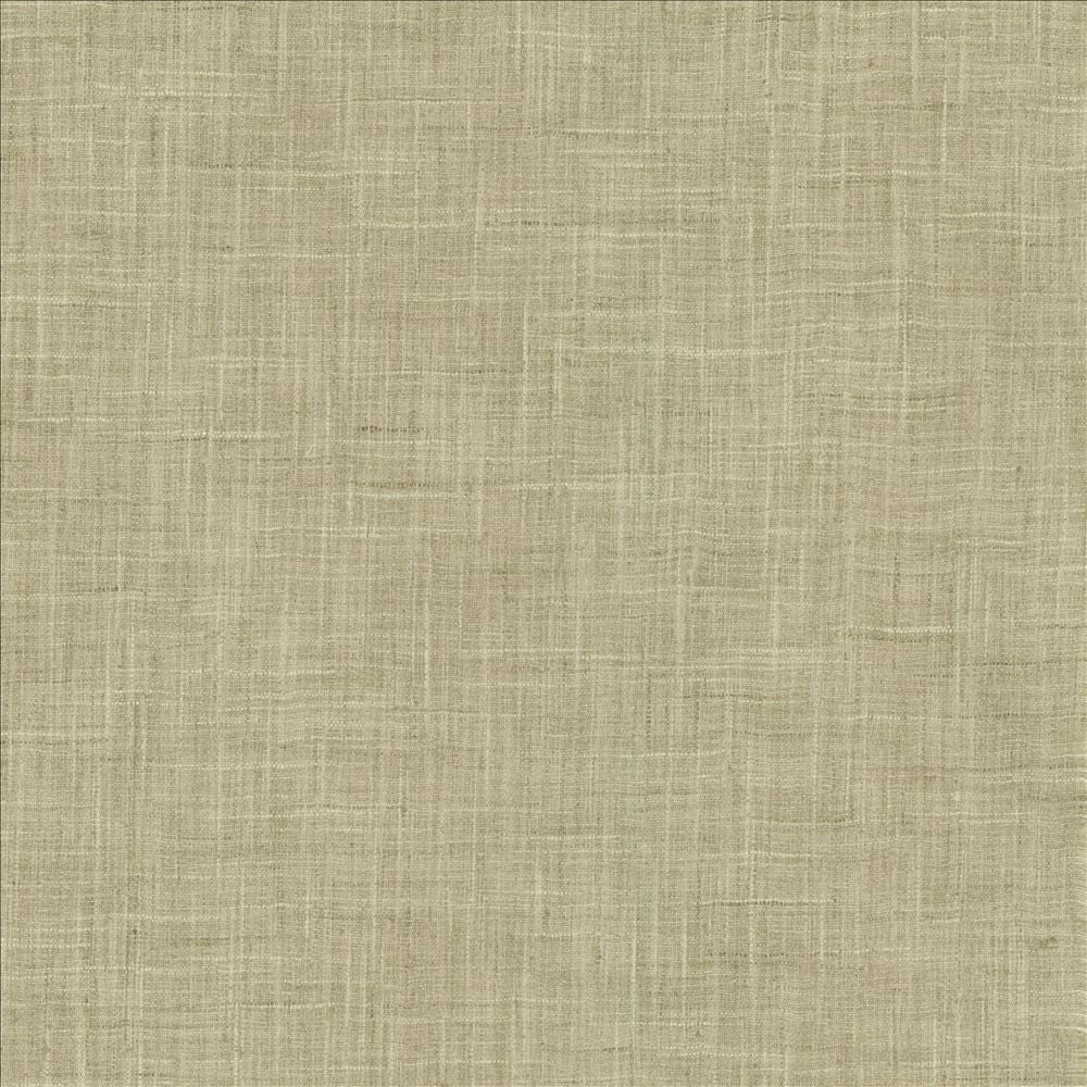 Photo Finish Zinc by Kasmir Designer Fabric 5162 100% Polyester
 INDIA 12,000 Wyzenbeek Double Rubs </p><p>Repeat: Horizontal: N/A and Vertical: N/A 54 - Swanky Fabrics -