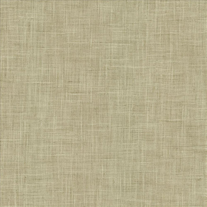 Photo Finish Zinc by Kasmir Designer Fabric 5162 100% Polyester
 INDIA 12,000 Wyzenbeek Double Rubs </p><p>Repeat: Horizontal: N/A and Vertical: N/A 54 - Swanky Fabrics -