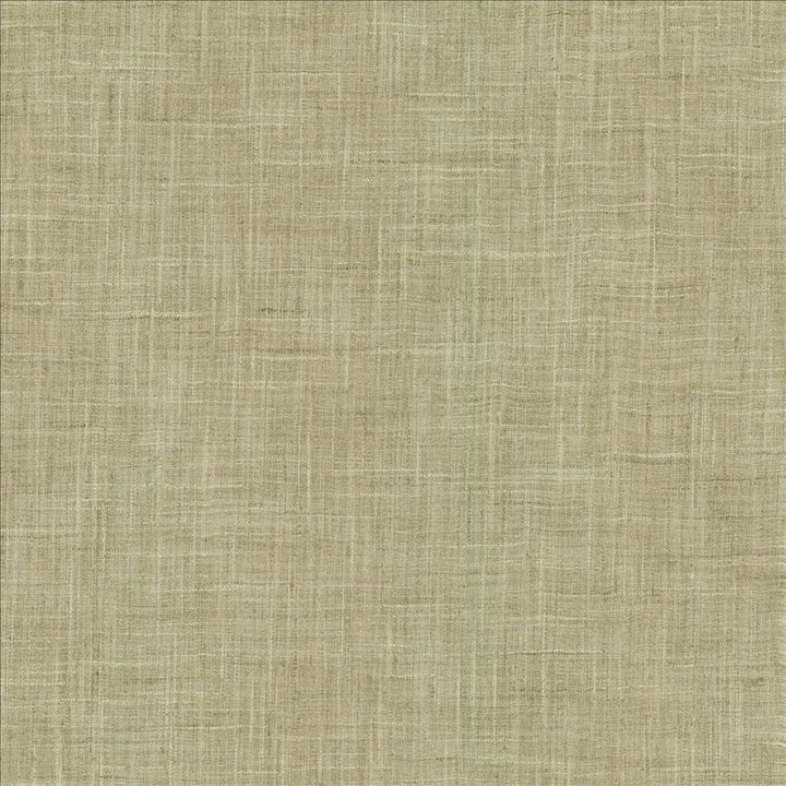 Photo Finish Zinc by Kasmir Designer Fabric 5162 100% Polyester
 INDIA </p><p>Repeat: Horizontal: N/A and Vertical: N/A 54 - Swanky Fabrics -