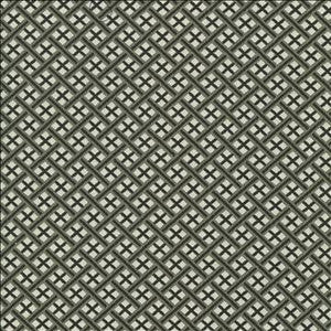Kasmir Fabric Pinebrook Graphite