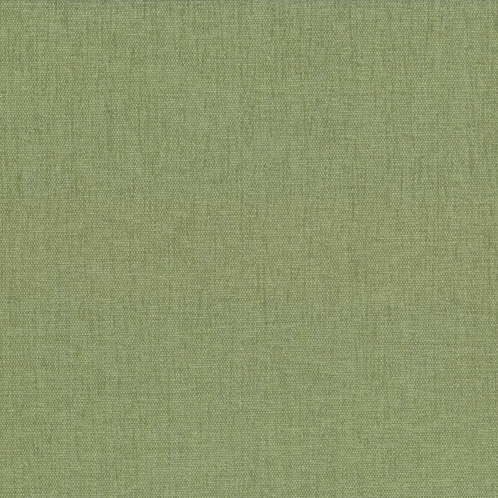 Pinnacle Aloe  by Kasmir Designer Fabric 1353 100% Polyester
 INDIA 102,000 Wyzenbeek Double Rubs Horizontal: N/A and Vertical: N/A 54  - Swanky Fabrics -