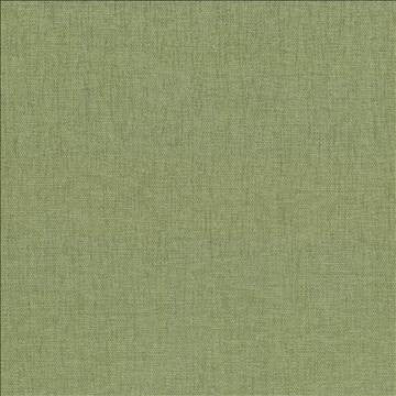 Pinnacle Aloe by Kasmir Designer Fabric 1353 100% Polyester INDIA 102,000 Wyzenbeek Double Rubs H: N/A, V: N/A 54 - 55 - Swanky Fabrics - Kasmir