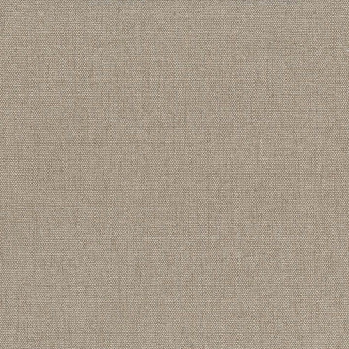 Pinnacle Barley  by Kasmir Designer Fabric 1353 100% Polyester
 INDIA 102,000 Wyzenbeek Double Rubs Horizontal: N/A and Vertical: N/A 54  - Swanky Fabrics -