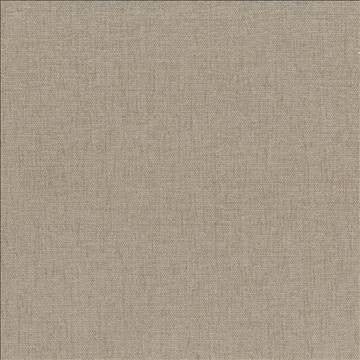 Pinnacle Barley by Kasmir Designer Fabric 5046 100% Polyester INDIA 102,000 Wyzenbeek Double Rubs H: N/A, V: N/A 54 - 55 - Swanky Fabrics - Kasmir