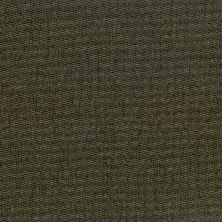 Pinnacle Basil by Kasmir Designer Fabric See sample 100% Polyester
 INDIA 102,000 Wyzenbeek Double Rubs </p><p>Repeat: Horizontal: N/A and Vertical: N/A 54 - Swanky Fabrics -