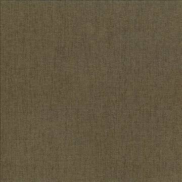 Pinnacle Cafe by Kasmir Designer Fabric 5046 100% Polyester INDIA 102,000 Wyzenbeek Double Rubs H: N/A, V: N/A 54 - 55 - Swanky Fabrics - Kasmir