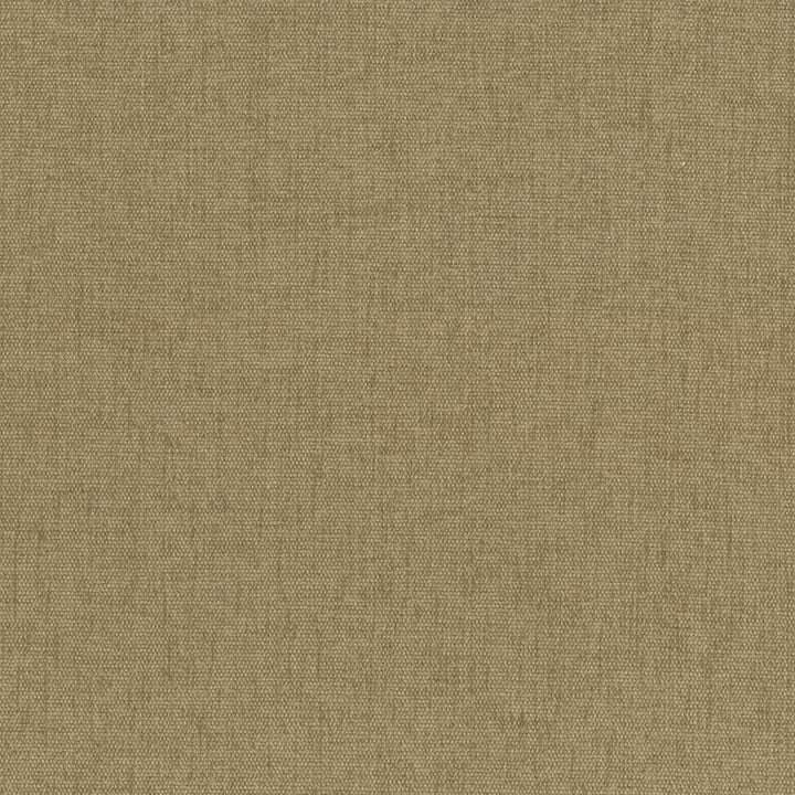 Pinnacle Cashew  by Kasmir Designer Fabric 5046 100% Polyester
 INDIA 102,000 Wyzenbeek Double Rubs Horizontal: N/A and Vertical: N/A 54  - Swanky Fabrics -