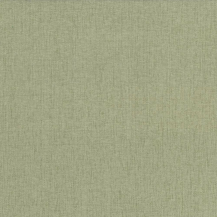 Pinnacle Celery by Kasmir Designer Fabric 5046 100% Polyester
 INDIA </p><p>Repeat: Horizontal: N/A and Vertical: N/A 54 - 55 - Swanky Fabrics -
