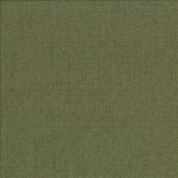 Pinnacle Chive by Kasmir Designer Fabric 5046 100% Polyester INDIA 102,000 Wyzenbeek Double Rubs H: N/A, V: N/A 54 - 55 - Swanky Fabrics - Kasmir