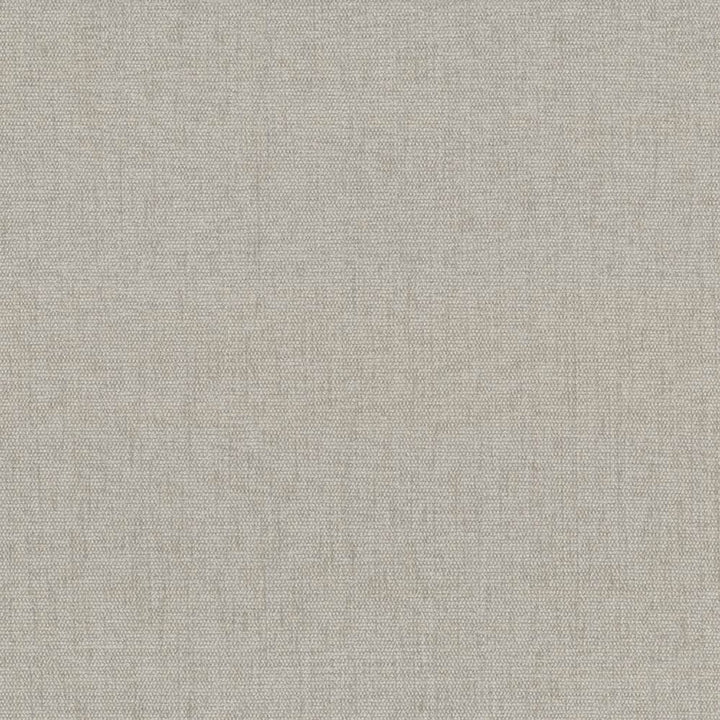Pinnacle Ecru  by Kasmir Designer Fabric 5046 100% Polyester
 INDIA 102,000 Wyzenbeek Double Rubs Horizontal: N/A and Vertical: N/A 54  - Swanky Fabrics -