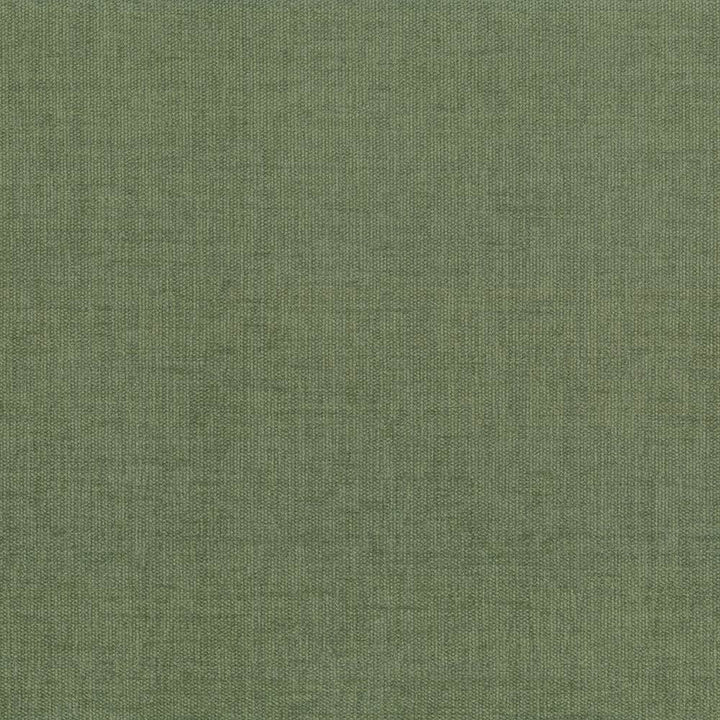 Pinnacle Fern by Kasmir Designer Fabric 5046 100% Polyester
 INDIA </p><p>Repeat: Horizontal: N/A and Vertical: N/A 54 - 55 - Swanky Fabrics -