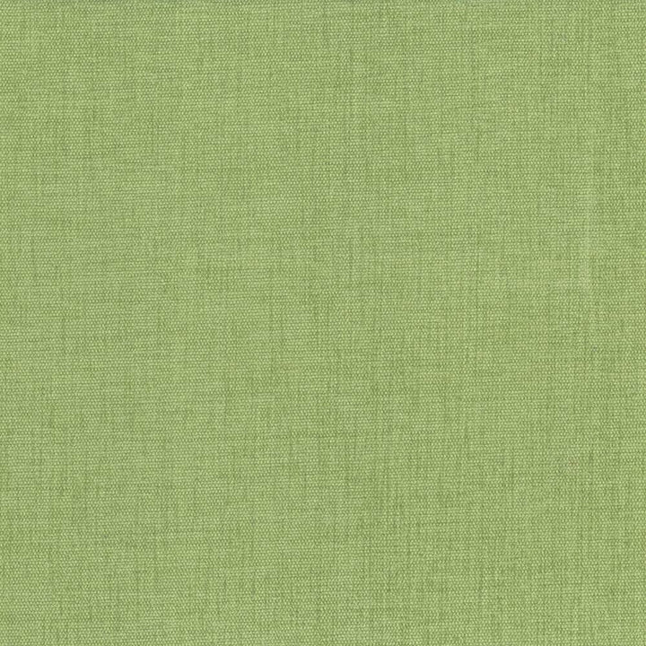 Pinnacle Grass by Kasmir Designer Fabric See sample 100% Polyester
 INDIA 102,000 Wyzenbeek Double Rubs </p><p>Repeat: Horizontal: N/A and Vertical: N/A 54 - Swanky Fabrics -