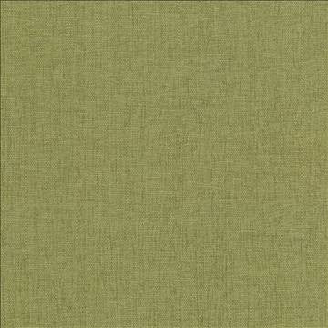 Pinnacle Herb by Kasmir Designer Fabric 1353 100% Polyester INDIA 102,000 Wyzenbeek Double Rubs H: N/A, V: N/A 54 - 55 - Swanky Fabrics - Kasmir
