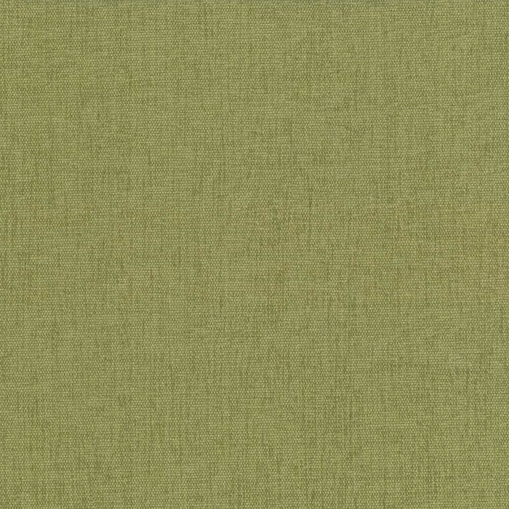Pinnacle Herb  by Kasmir Designer Fabric 1353 100% Polyester
 INDIA 102,000 Wyzenbeek Double Rubs Horizontal: N/A and Vertical: N/A 54  - Swanky Fabrics -