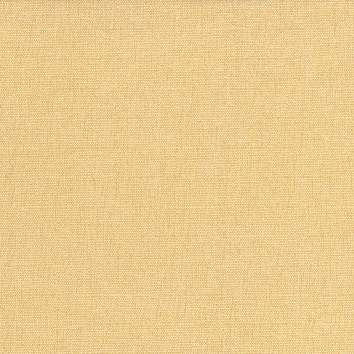 Pinnacle Maize by Kasmir Designer Fabric 5046 100% Polyester
 INDIA </p><p>Repeat: Horizontal: N/A and Vertical: N/A 54 - 55 - Swanky Fabrics -