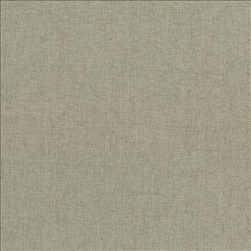 Pinnacle Mushroom by Kasmir Designer Fabric 5046 100% Polyester INDIA 102,000 Wyzenbeek Double Rubs H: N/A, V: N/A 54 - 55 - Swanky Fabrics - Kasmir