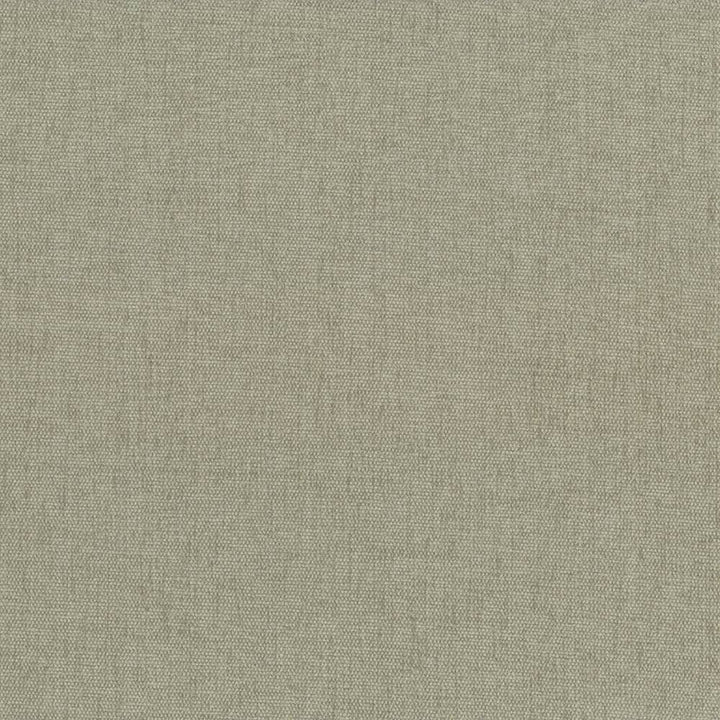 Pinnacle Mushroom by Kasmir Designer Fabric 5046 100% Polyester
 INDIA 102,000 Wyzenbeek Double Rubs </p><p>Repeat: Horizontal: N/A and Vertical: N/A 54 - Swanky Fabrics -