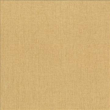 Pinnacle Mustard by Kasmir Designer Fabric 5046 100% Polyester INDIA 102,000 Wyzenbeek Double Rubs H: N/A, V: N/A 54 - 55 - Swanky Fabrics - Kasmir