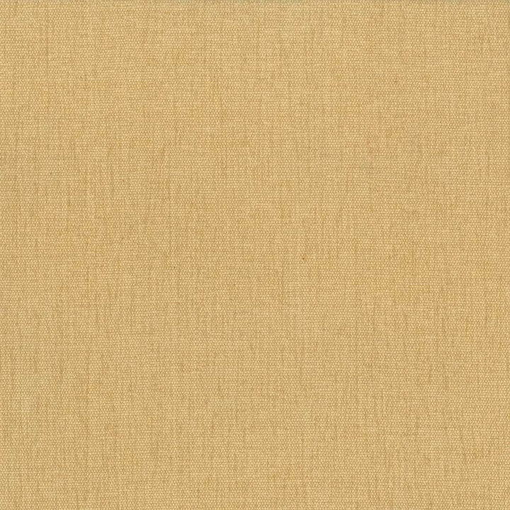 Pinnacle Mustard by Kasmir Designer Fabric 5046 100% Polyester INDIA 102,000 Wyzenbeek Double Rubs Horizontal: 0 Inches and Vertical: 0 Inches 54 - 55 - Swanky Fabrics -