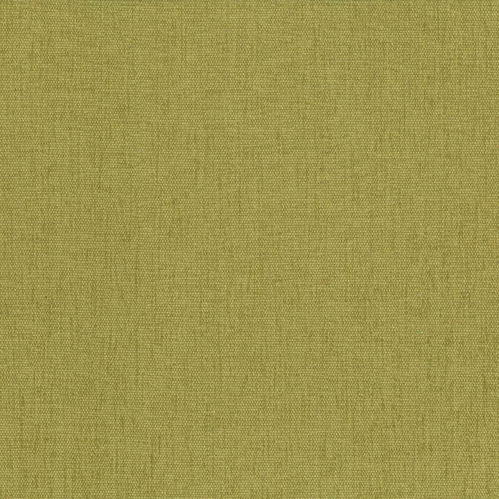 Pinnacle Palm by Kasmir Designer Fabric 5046 100% Polyester
 INDIA </p><p>Repeat: Horizontal: N/A and Vertical: N/A 54 - 55 - Swanky Fabrics -