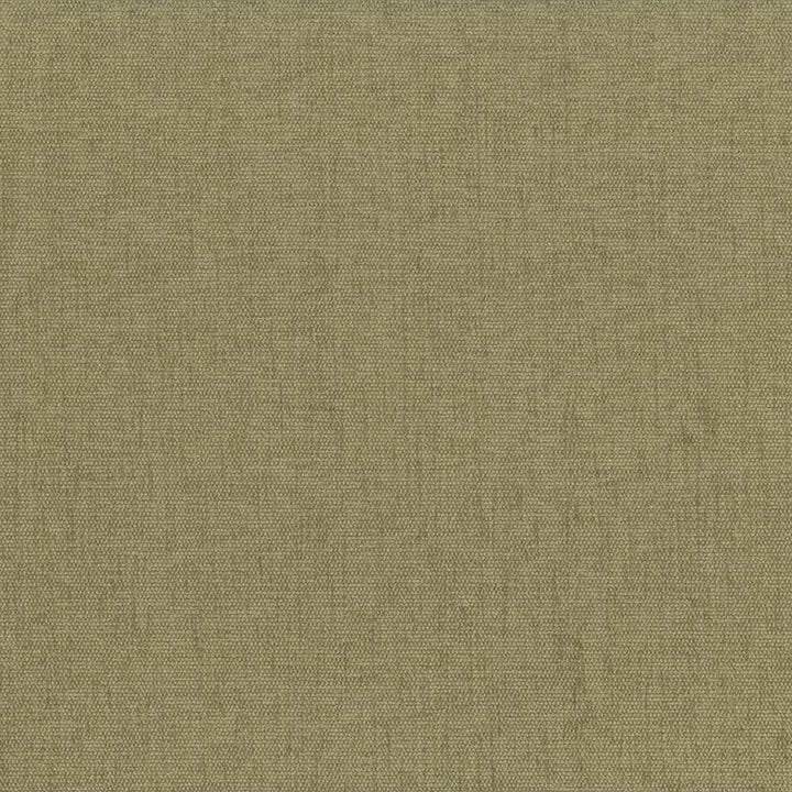 Pinnacle Parsley by Kasmir Designer Fabric 1353 100% Polyester
 INDIA </p><p>Repeat: Horizontal: N/A and Vertical: N/A 54 - 55 - Swanky Fabrics -