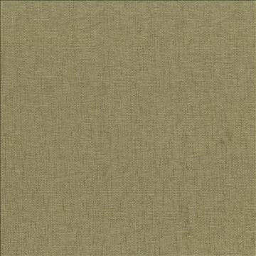 Pinnacle Parsley by Kasmir Designer Fabric 1353 100% Polyester INDIA 102,000 Wyzenbeek Double Rubs H: N/A, V: N/A 54 - 55 - Swanky Fabrics - Kasmir