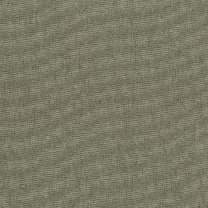 Pinnacle Sage by Kasmir Designer Fabric 1353 100% Polyester
 INDIA </p><p>Repeat: Horizontal: N/A and Vertical: N/A 54 - 55 - Swanky Fabrics -