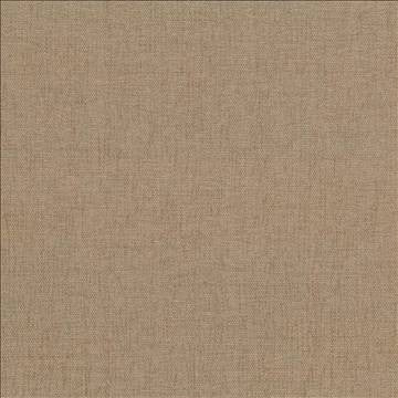 Pinnacle Sand by Kasmir Designer Fabric 1353 100% Polyester INDIA 102,000 Wyzenbeek Double Rubs H: N/A, V: N/A 54 - 55 - Swanky Fabrics - Kasmir