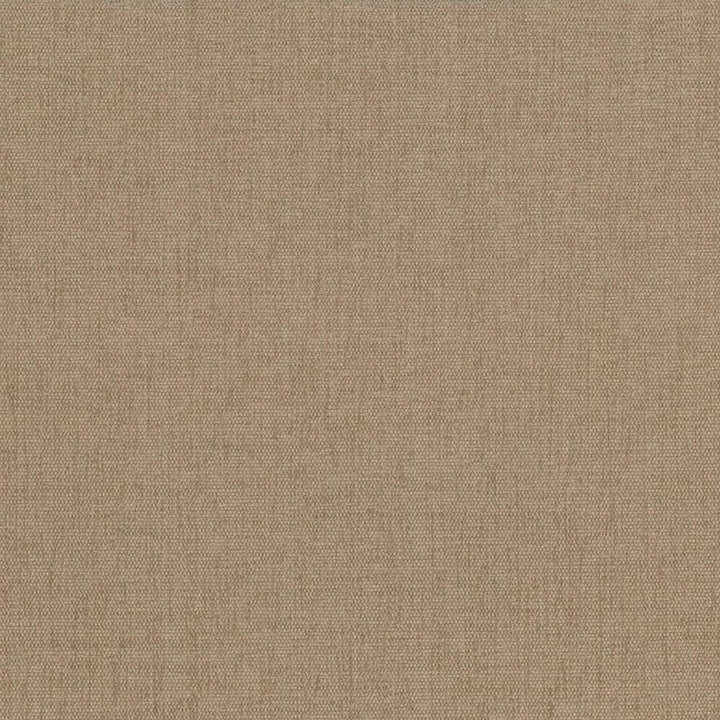 Pinnacle Sand by Kasmir Designer Fabric 5046 100% Polyester
 INDIA </p><p>Repeat: Horizontal: N/A and Vertical: N/A 54 - 55 - Swanky Fabrics -