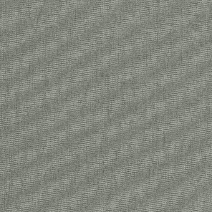 Pinnacle Silver Sage by Kasmir Designer Fabric 5046 100% Polyester
 INDIA </p><p>Repeat: Horizontal: N/A and Vertical: N/A 54 - 55 - Swanky Fabrics -