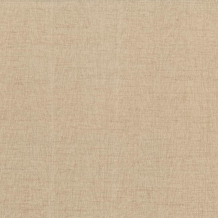 Pinnacle Tan by Kasmir Designer Fabric See sample 100% Polyester
 INDIA 102,000 Wyzenbeek Double Rubs </p><p>Repeat: Horizontal: N/A and Vertical: N/A 54 - Swanky Fabrics -