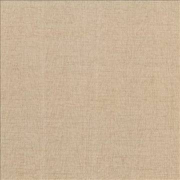 Pinnacle Tan by Kasmir Designer Fabric 5046 100% Polyester INDIA 102,000 Wyzenbeek Double Rubs H: N/A, V: N/A 54 - 55 - Swanky Fabrics - Kasmir