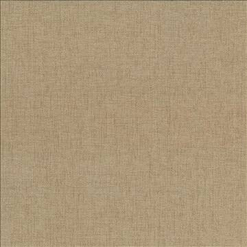 Pinnacle Tweed by Kasmir Designer Fabric 1353 100% Polyester INDIA 102,000 Wyzenbeek Double Rubs H: N/A, V: N/A 54 - 55 - Swanky Fabrics - Kasmir
