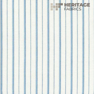 Roth & Tompkins Fabric Piper Sky