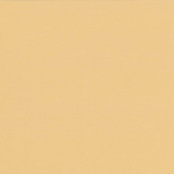 Pirouette Butter by Kasmir Designer Fabric See sample 100% Polyester
 INDIA 45,000 Wyzenbeek Double Rubs </p><p>Repeat: Horizontal: N/A and Vertical: N/A 54 - Swanky Fabrics -