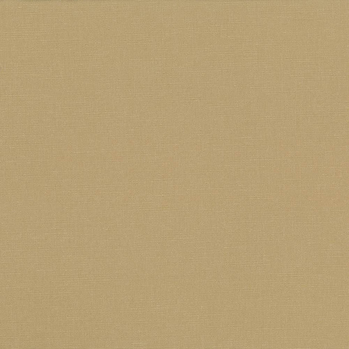 Pirouette Cashew by Kasmir Designer Fabric 5054 100% Polyester INDIA 45,000 Wyzenbeek Double Rubs Horizontal: 0 Inches and Vertical: 0 Inches 54 - 55 - Swanky Fabrics -