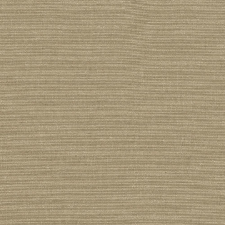 Pirouette Cement by Kasmir Designer Fabric 5054 100% Polyester INDIA 45,000 Wyzenbeek Double Rubs Horizontal: 0 Inches and Vertical: 0 Inches 54 - 55 - Swanky Fabrics -