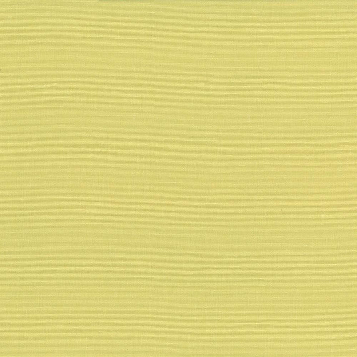 Pirouette Citrus by Kasmir Designer Fabric 5054 100% Polyester
 INDIA </p><p>Repeat: Horizontal: N/A and Vertical: N/A 54 - 55 - Swanky Fabrics -