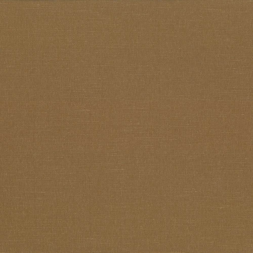 Pirouette Cognac by Kasmir Designer Fabric See sample 100% Polyester
 INDIA 45,000 Wyzenbeek Double Rubs </p><p>Repeat: Horizontal: N/A and Vertical: N/A 54 - Swanky Fabrics -