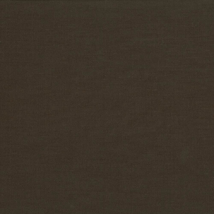 Pirouette Fudge by Kasmir Designer Fabric See sample 100% Polyester
 INDIA 45,000 Wyzenbeek Double Rubs </p><p>Repeat: Horizontal: N/A and Vertical: N/A 54 - Swanky Fabrics -