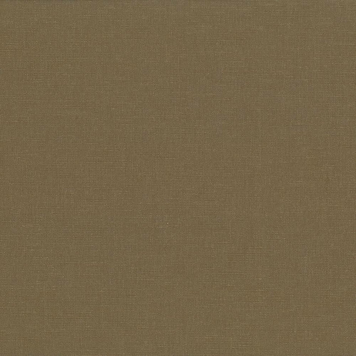 Pirouette Olive by Kasmir Designer Fabric 5054 100% Polyester
 INDIA 45,000 Wyzenbeek Double Rubs </p><p>Repeat: Horizontal: N/A and Vertical: N/A 54 - Swanky Fabrics -