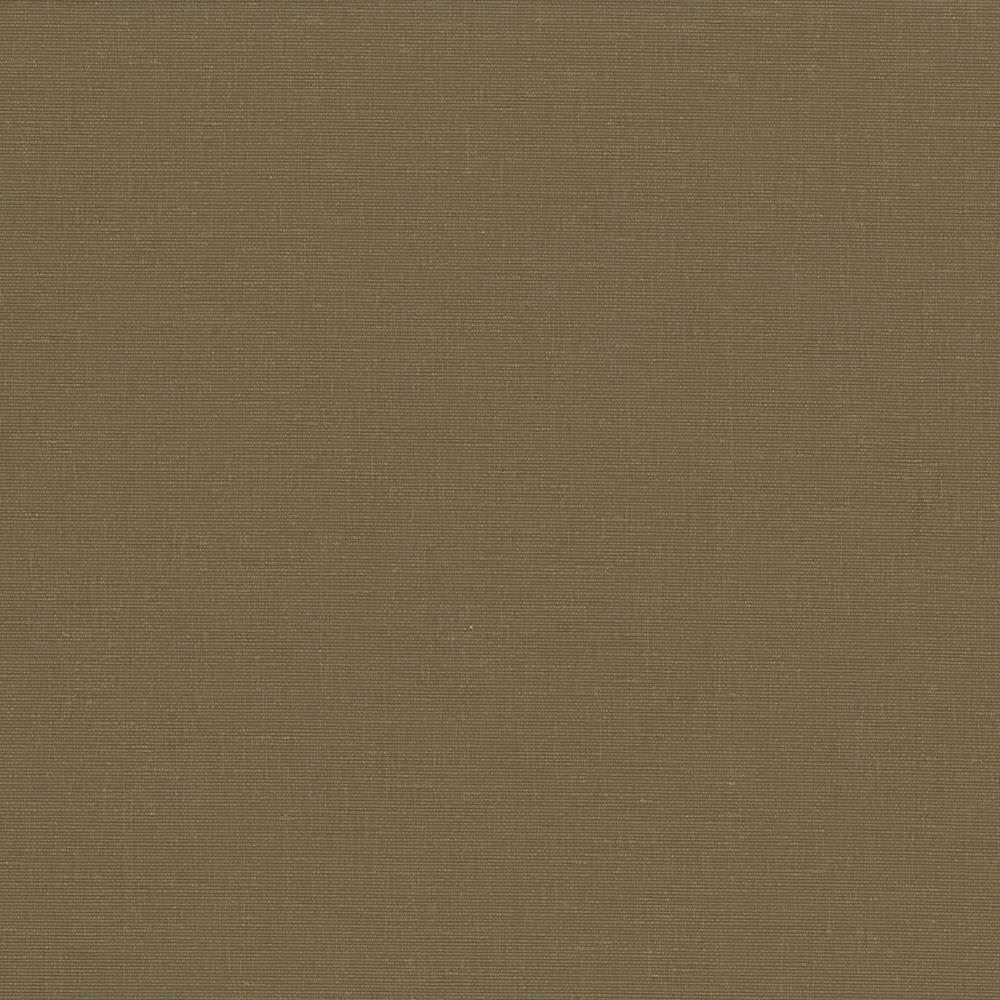 Pirouette Olive by Kasmir Designer Fabric See sample 100% Polyester
 INDIA 45,000 Wyzenbeek Double Rubs </p><p>Repeat: Horizontal: N/A and Vertical: N/A 54 - Swanky Fabrics -