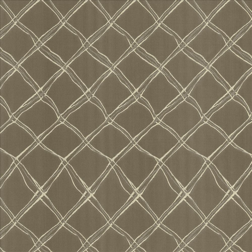 Plexus Stone by Kasmir Designer Fabric 5110 100% Polyester
 TURKEY </p><p>Repeat: Horizontal: 3 3/8 inches and Vertical: 14 inches 57 - 58 - Swanky Fabrics -