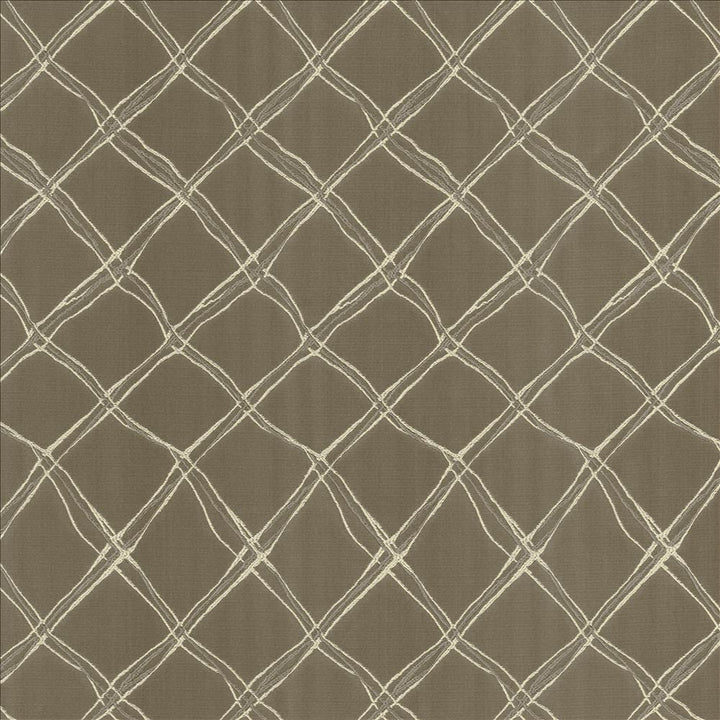 Plexus Stone by Kasmir Designer Fabric 5110 100% Polyester
 TURKEY </p><p>Repeat: Horizontal: 3 3/8 inches and Vertical: 14 inches 57 - 58 - Swanky Fabrics -