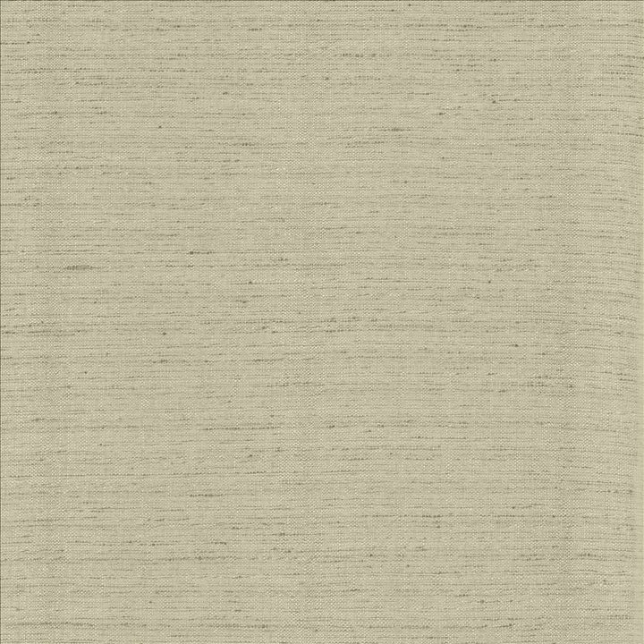 Polished Fog  by Kasmir Designer Fabric 5153 100% Polyester
 INDIA 51,000 Wyzenbeek Double Rubs Horizontal: N/A and Vertical: N/A 55  - Swanky Fabrics -