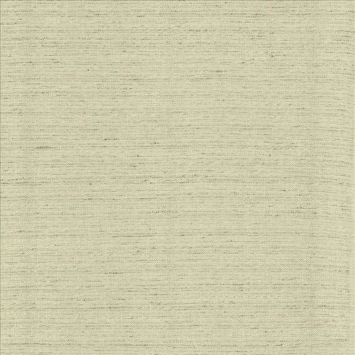 Polished Fog by Kasmir Designer Fabric 5153 100% Polyester INDIA 51,000 Wyzenbeek Double Rubs Horizontal: 0 Inches and Vertical: 0 Inches 55 - Swanky Fabrics -
