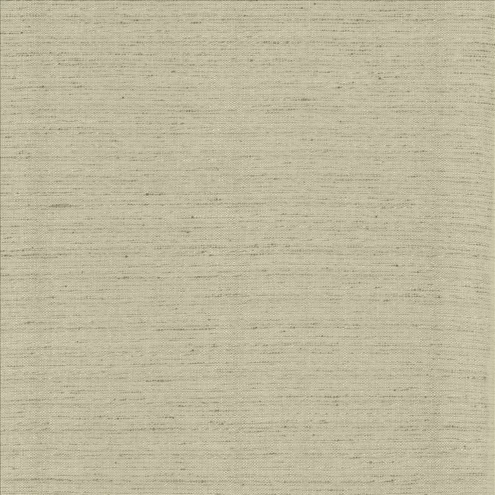 Polished Fog by Kasmir Designer Fabric 5153 100% Polyester
 INDIA 51,000 Wyzenbeek Double Rubs </p><p>Repeat: Horizontal: N/A and Vertical: N/A 55 - Swanky Fabrics -